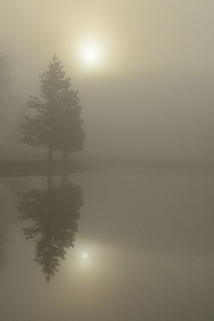Brandywine sunrise in fog