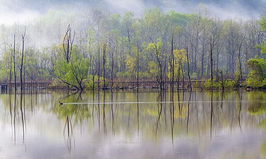 After the Storm, Jeffrey Gibson