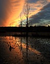 Beaver Marsh Sunset