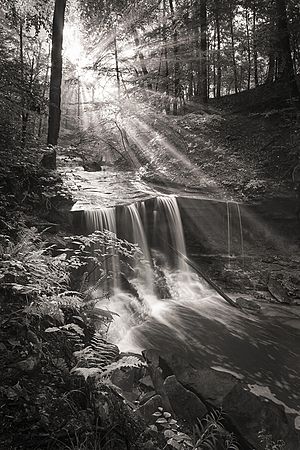 Sunday and Waterfall, Jerry Jelinek