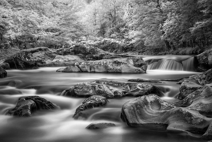 Third Place\n\nLandscape\n\nMoon Rocks\nGreat Smoky Mountains NP