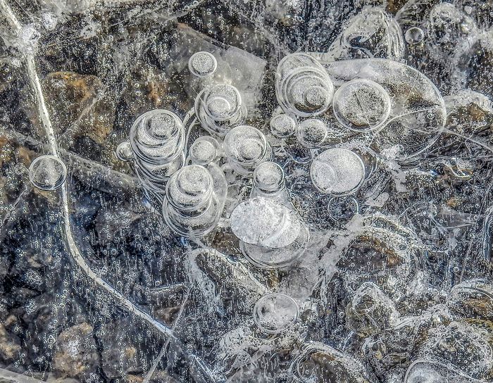 First Place\n\nClose-up\n\nMethane Bubbles in Frozen Mud Puddle\nLiberty MetroPark