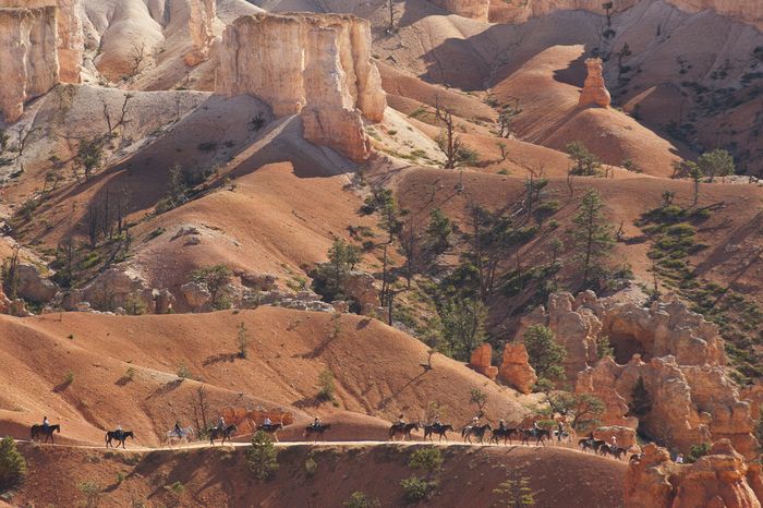 Honorable Mention\n\nHand of Man\n\nAfternoon Ride\nBryce Canyon NP