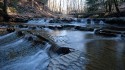Landscape\n\nBridal Veil Falls in Spring\nBedford Reservation