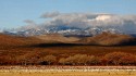 Wildlife\n\nSandhill Cranes and Snow Geese\nBosque del Apache NWR