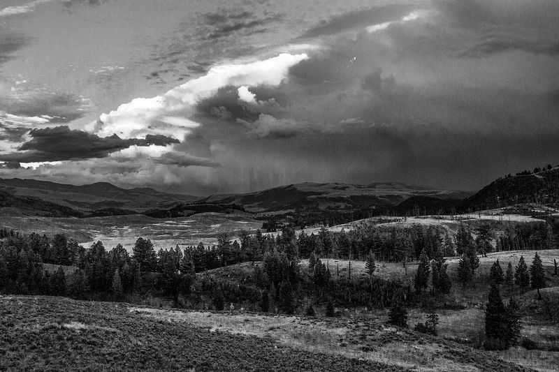 Landscape\n\nBrewing Storm\nYellowstone NP