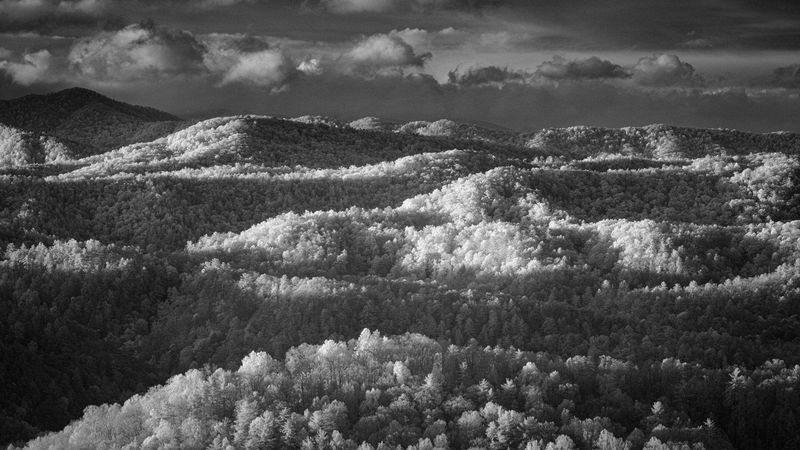 Landscape\n\nMorning View from the Footholls Parkway\nGreat Smoky Mountains National Park, TN