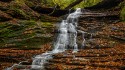 Landscape\n\nMajesty Falls\nSouth Chagrin Reservation