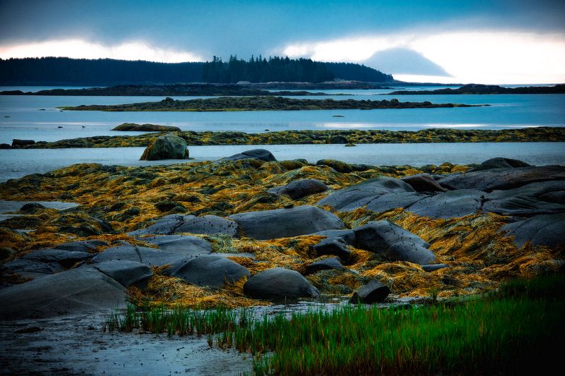 Landscape\n\nClark Island\n\nClark Island Preserve