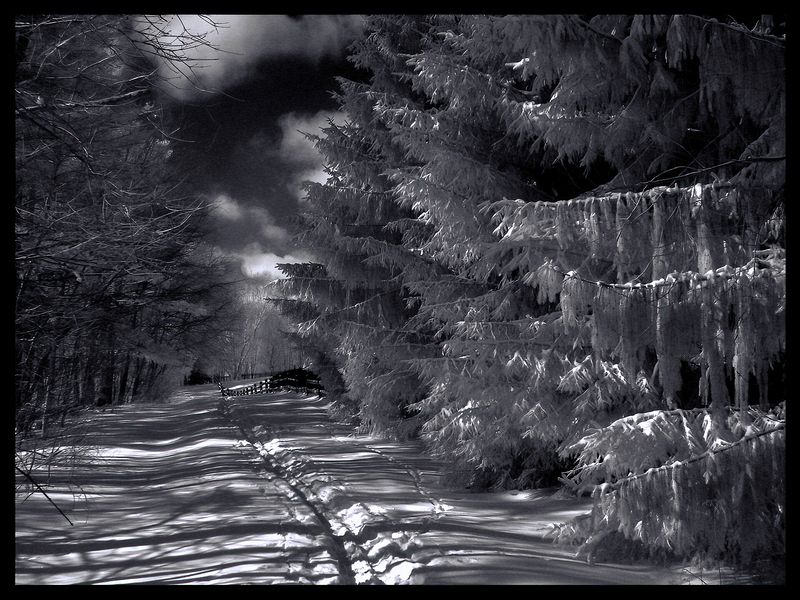 Landscape\n\nWinter Fantasy Infrared\n\nCVNP