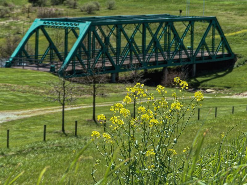 Bridge to Nowhere