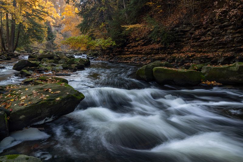 Tim Thomas Best of Show\nFirst place, Landscape\n\nTinkers Creek\n\nBedford Reservation