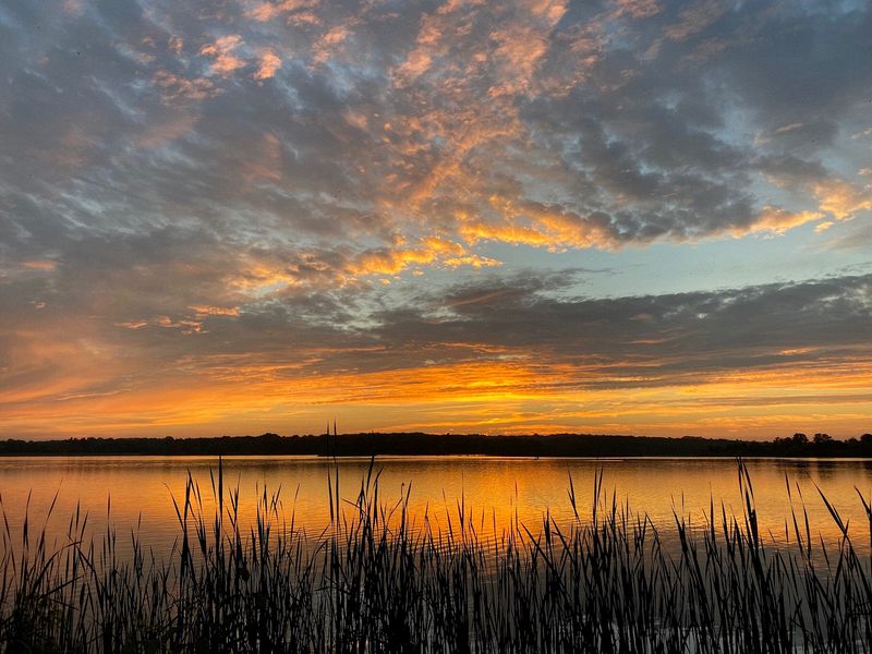 Honorable Mention Landscape\n\nSunset\n\nNimisila Resivoir, Portage Lakes State Park