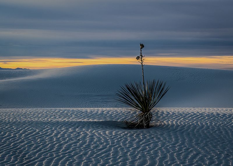 Landscape\n\nWhite Sands