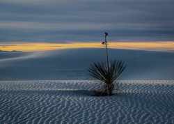 Landscape\n\nWhite Sands