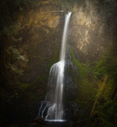 Landscape\n\nMarymere Falls  - Olympic National Park