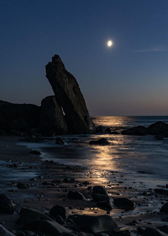 Landscape\n\nMoonlight on the Beach\n\nOlympic National Park