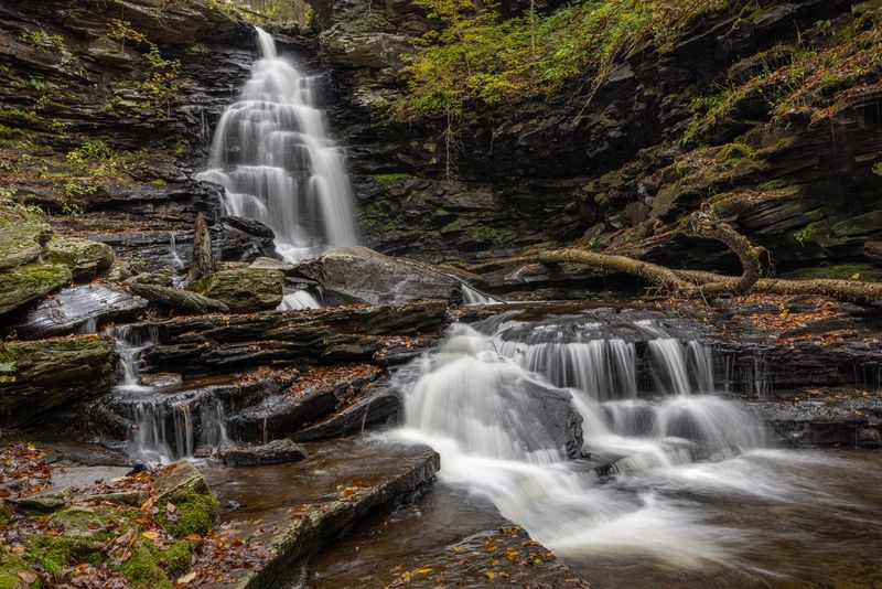 Landscape\n\nOzone Falls\n\nRickets Glen State Park