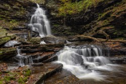 Landscape\n\nOzone Falls\n\nRickets Glen State Park