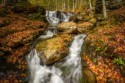 Third Place, Landscape\n\nMiners Run\n\nMcIntyre Wild Area, PA