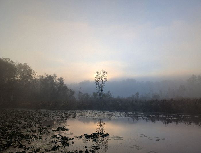 CVNP\n\nBeaver Marsh