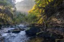 Landscape\n\nMorning Light, Bedford Reservation