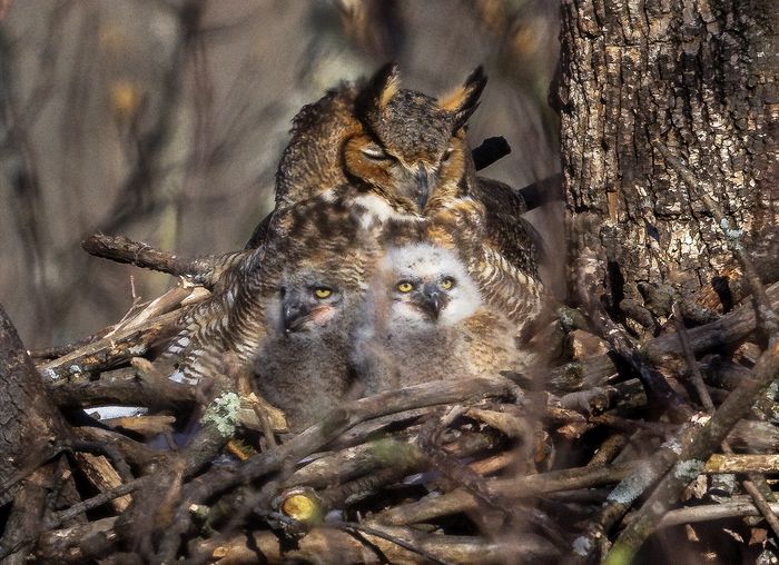 Wildlive\n\nFront Row Seats - Rocky River Reservation