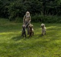 Man and his dogs at Little Meadow