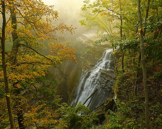 Brandywine Falls Foggy Fall Morning, Brian Wilson