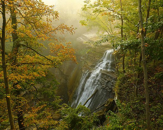 Brandywine Falls Foggy Fall Morning\n\nLandscape\n\nBest of Show