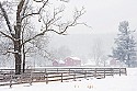 Snowstorm\n\n2nd Place - Landscape
