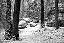 Early Snow at the Ledges\n\nBlack & White