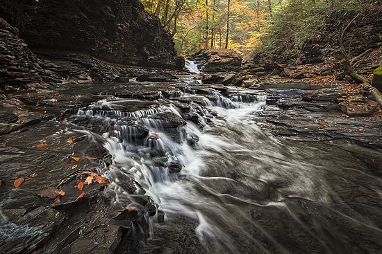 Deer Lick Creek, Jerry Jelinek