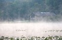 Morning mist on Kendall Lake