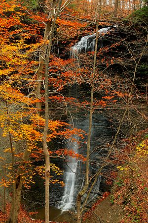 Crazy Mans Hollow Falls in Fall