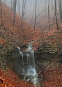 Second Place\n\nWaterfalls & Cascades\n\nBrandywine Tributary