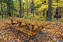 Honorable Mention\n\nEvidence of People\n\nPicnic Table