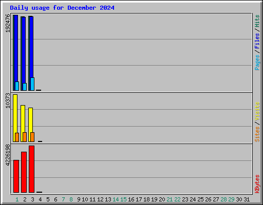 Daily usage for December 2024