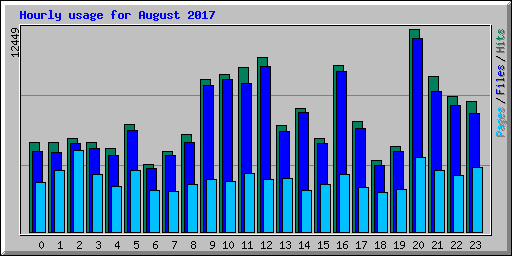 Hourly usage for August 2017