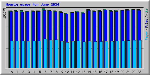 Hourly usage for June 2024