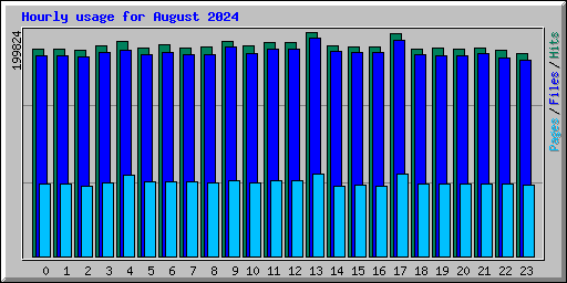 Hourly usage for August 2024