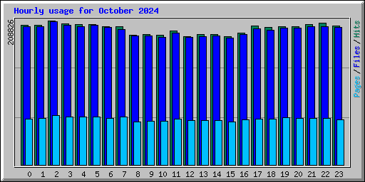 Hourly usage for October 2024