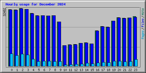 Hourly usage for December 2024