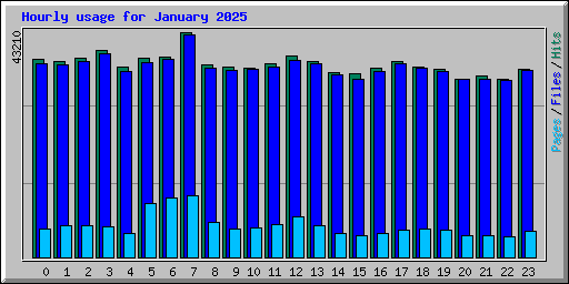 Hourly usage for January 2025