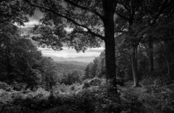 First Place Landscape\n\nSmokey Mountain Overlook\n\nSmokey Mountain NP