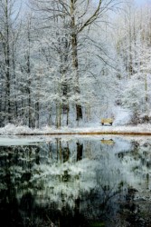 Third Plade Landscape\n\nSpring Snowfall\n\nMunroe Falls Park\nSummit Metro Parks