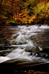 CVNP\n\nAutumn along Brandywine Creek\n\nBrandywine Trail