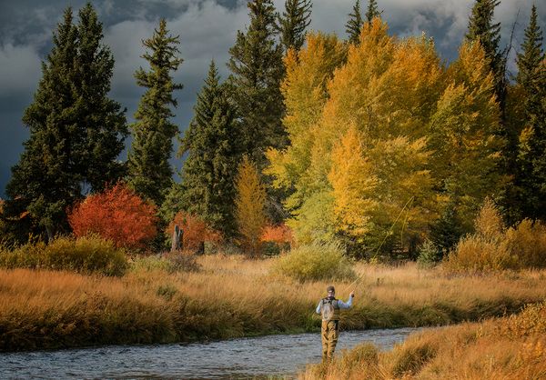 Landscape\n\nFly Fishing in Blacktail Ponds\n\nGrand Teton NP