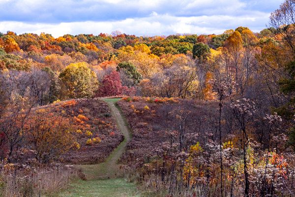 Landscape\n\nKendall Autumn\n\nCVNP Pine Hollow