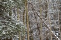 The Ledges, Cuyahoga Valley